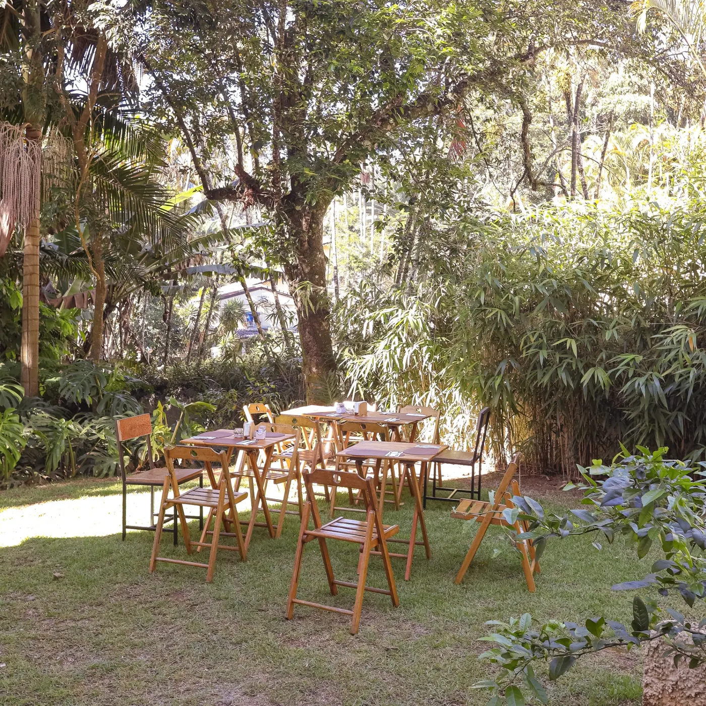 Vista da Serra da Cantareira a partir do jardim do Frutta e Crema